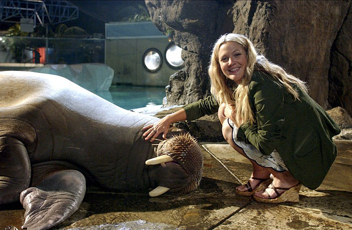 50 First Dates (50x a stále poprvé)