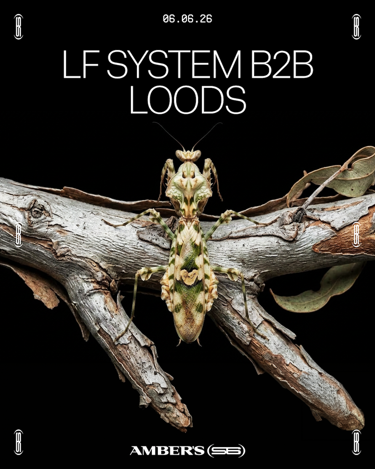 Amber's presents: LF SYSTEM b2b Loods
