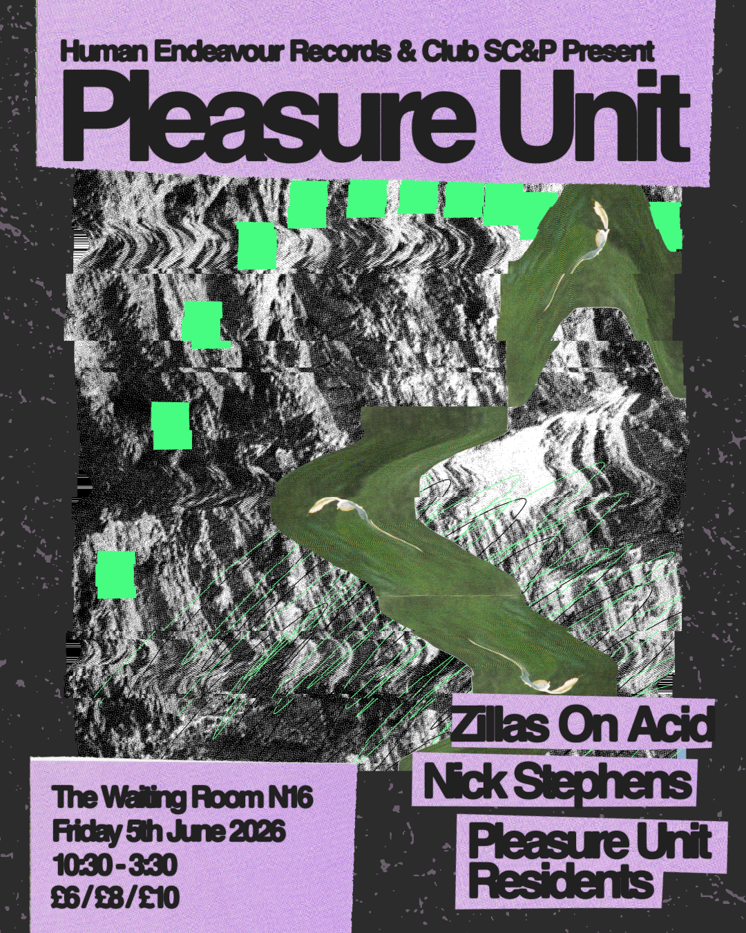 Pleasure Unit: Zillas on Acid + Nick Stephens + Rosie Ama + Harry James