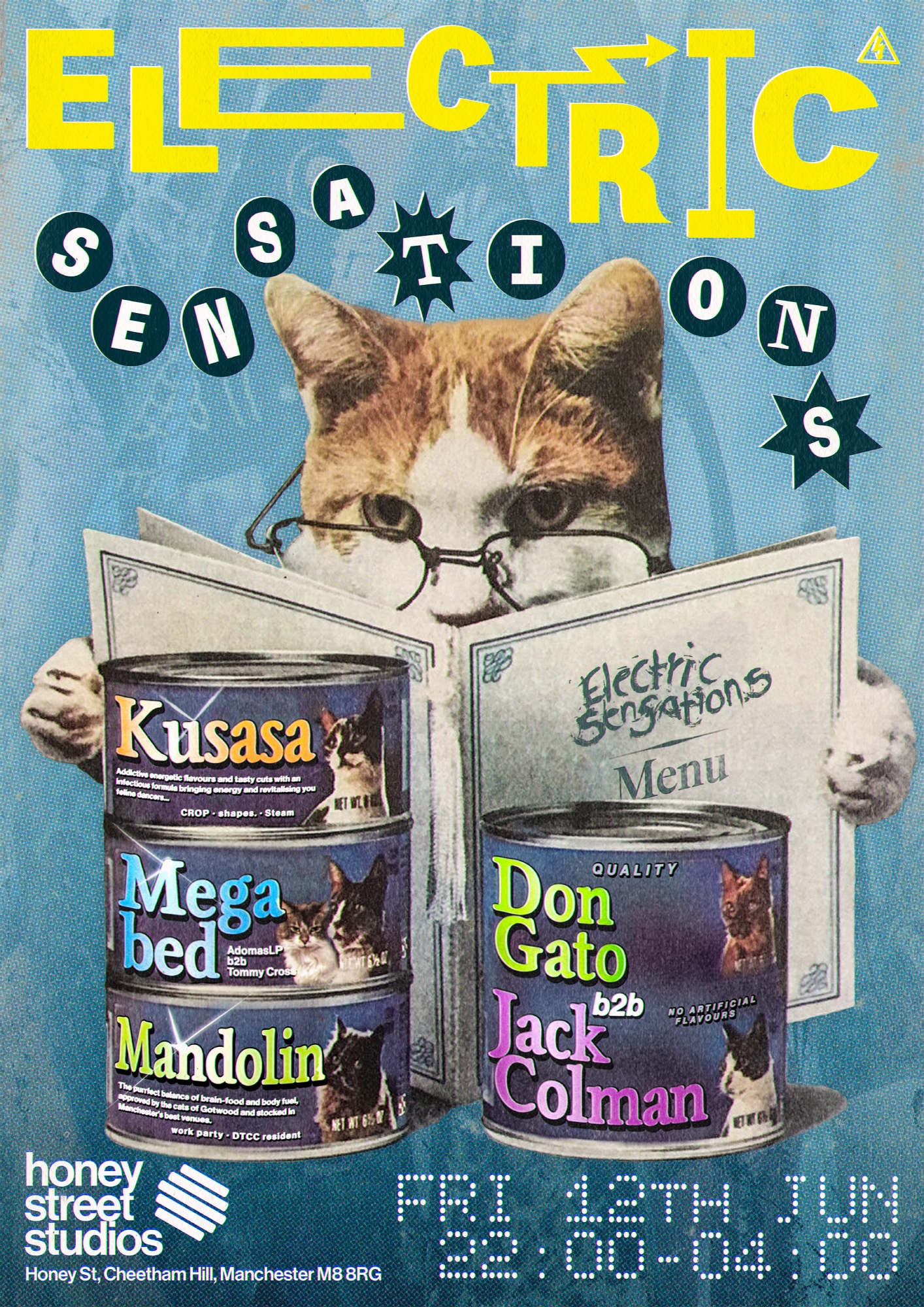 Electric Sensations: The Feline Funk-tion