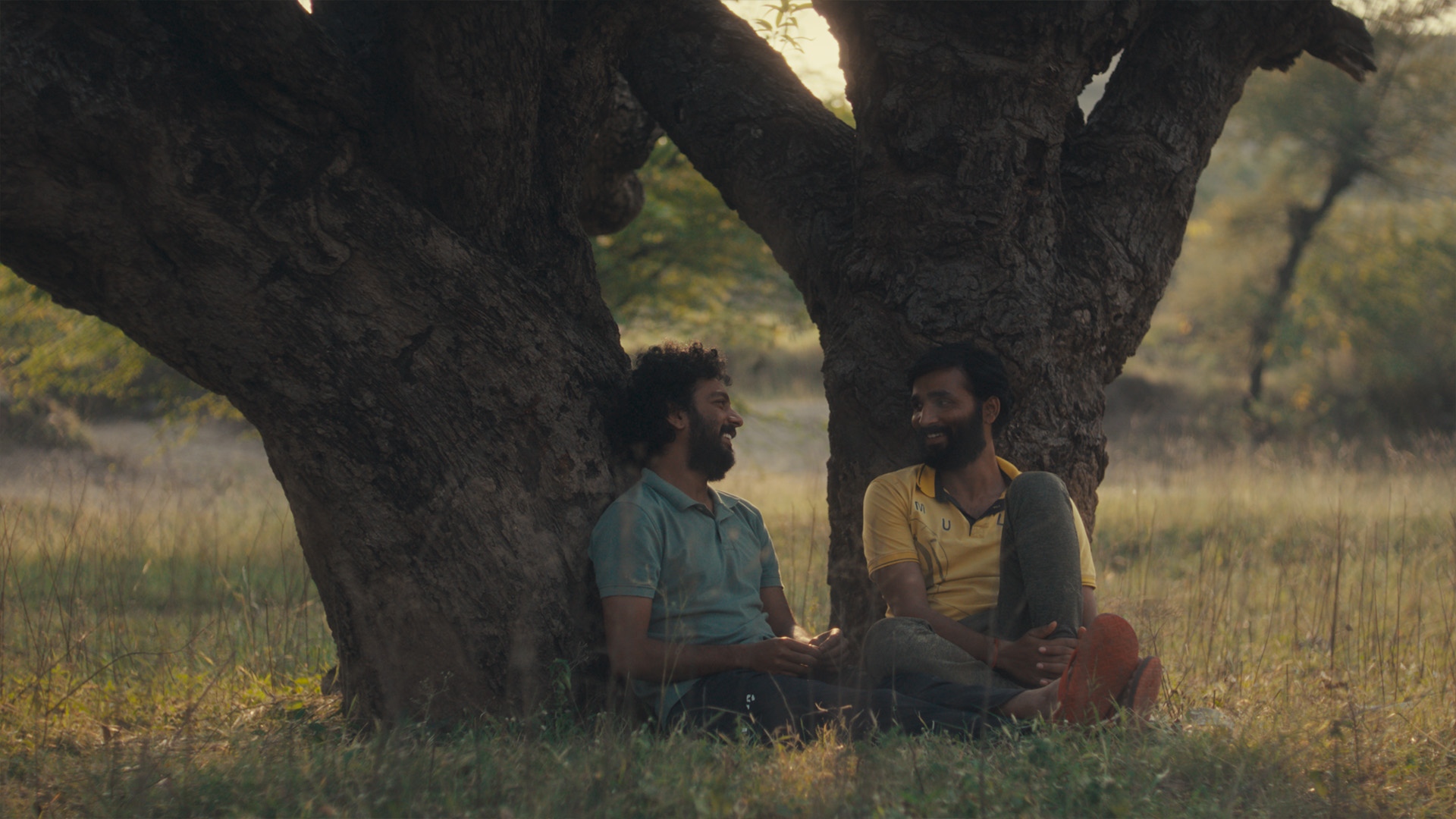 HUNGAMA: CACTUS PEARS + Q&amp;A