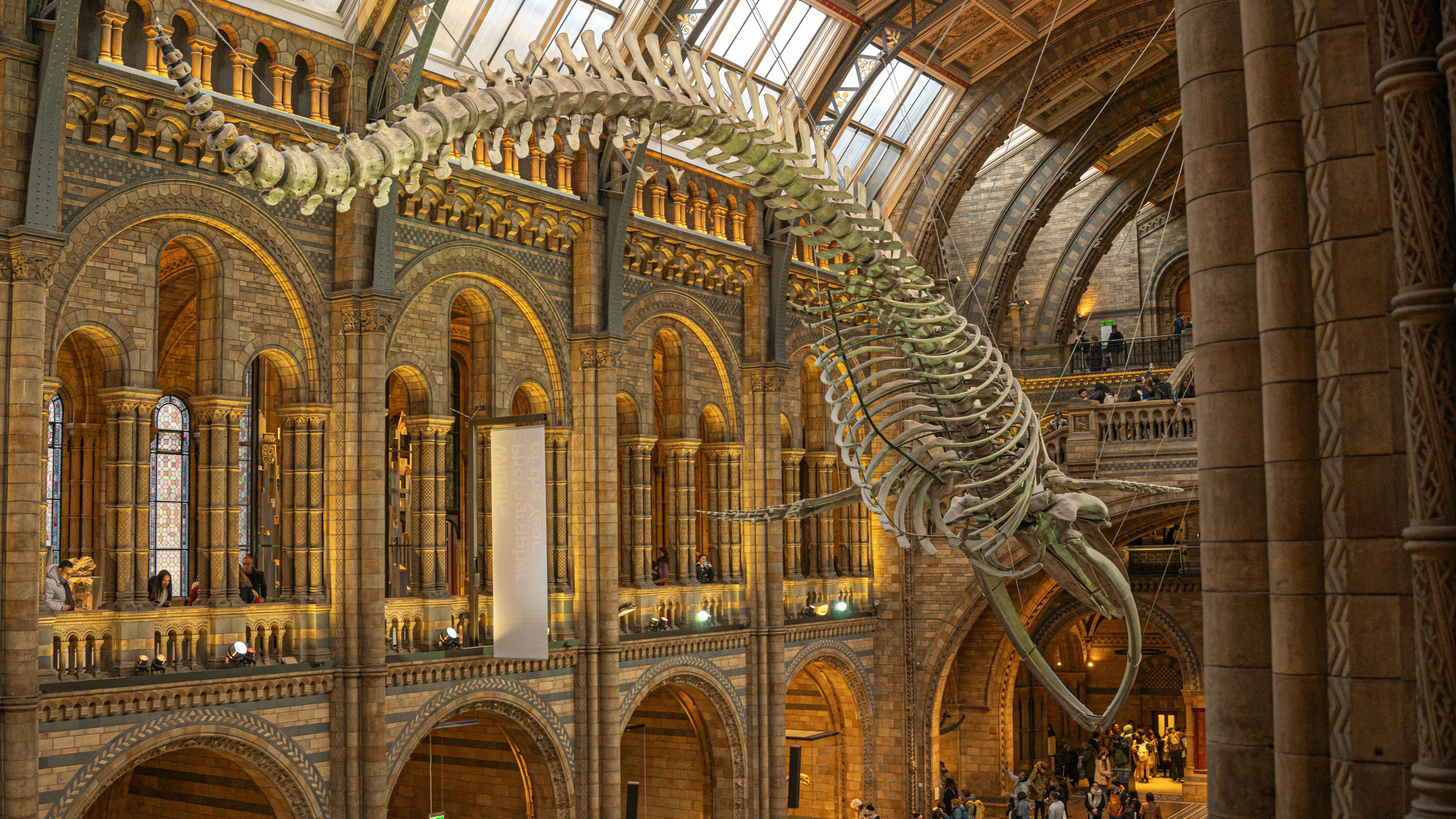 Afternoon Coffee @ Natural History Museum