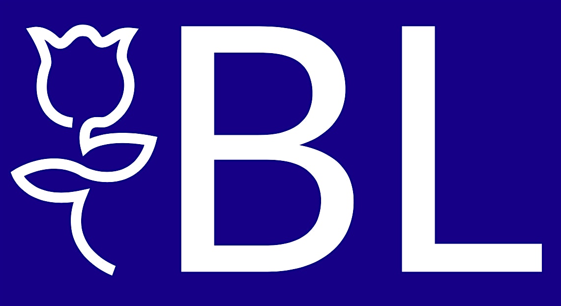 After Makerfield: Is Blue Labour the future?