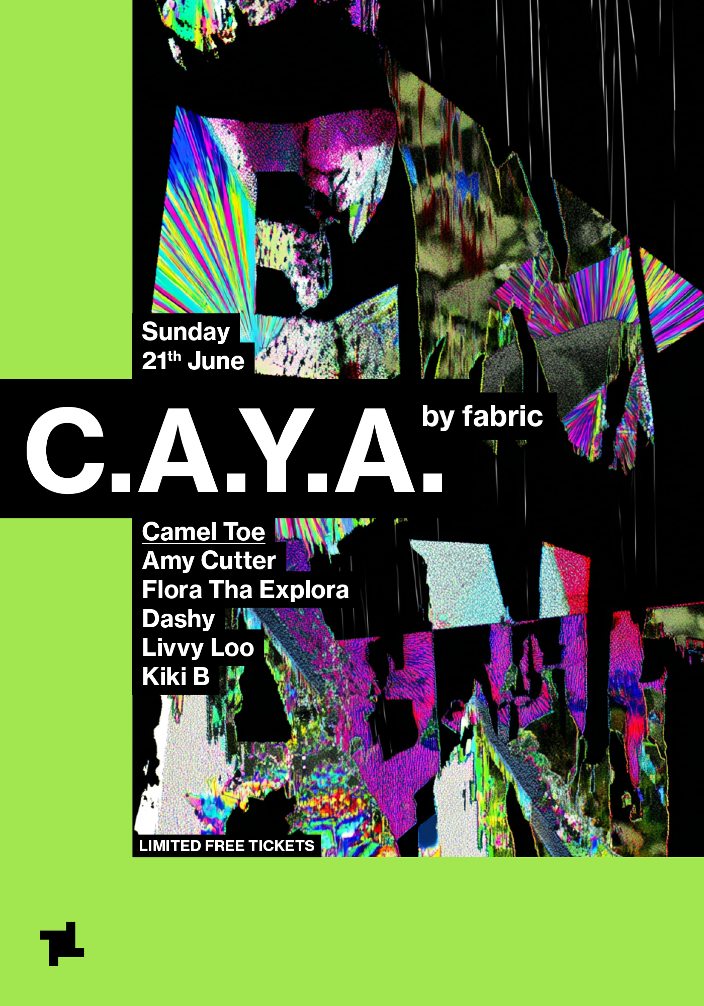 CAYA by fabric: Camel Toe - Amy Cutter, FLORA THA EXPLORA, DASHY, Livvy, Loo Kiki B