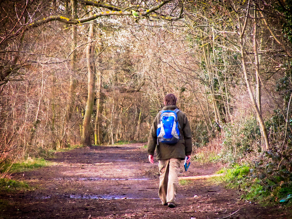 Pangboune to Wallingford via Goring Stunning Thames Path walk