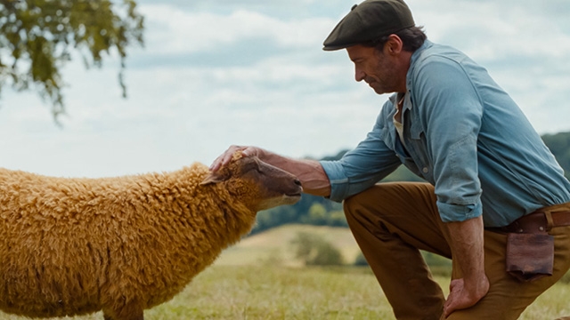 The Sheep Detectives