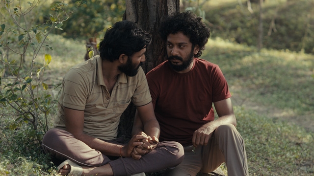 Cactus Pears plus Director Q&A + Short Film